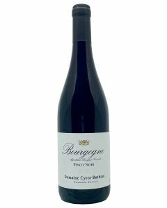Bourgogne Pinot Noir Domaine Cyrot-Buthiau 2020