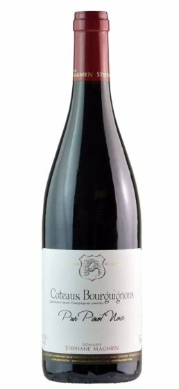 Coteaux Bourguignon Pur Pinot Noir Domaine Stephane Magnien 2020